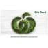 Woolworths eGift Card - $250