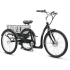 Progear Bikes E-Free 24" E-Trike